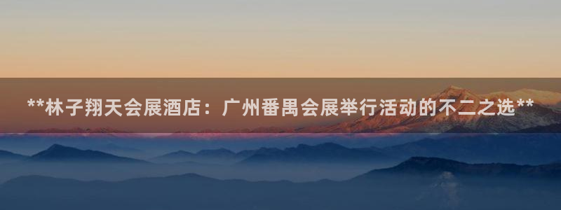 果搏代理：**林子翔天会展酒店：广州番禺