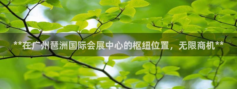 果博平台开户电话：**在广州琶洲国际会展
