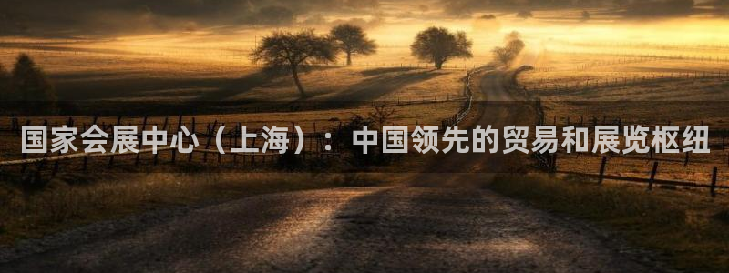 果博公司游戏网址：国家会展中心（上海）：