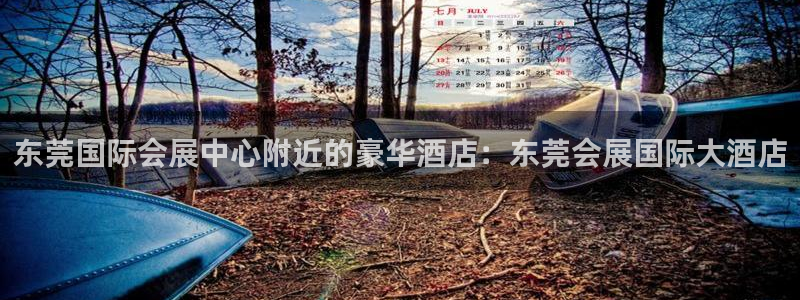 果博手机下载网址：东莞国际会展中心附近的
