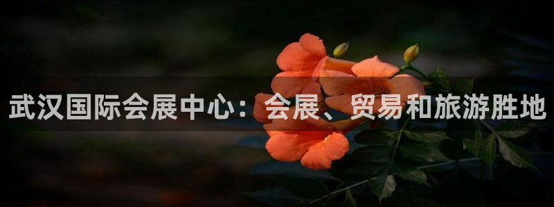 果博注册充值怎么退款：武汉国际会展中心：