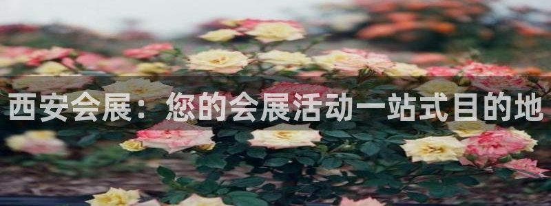 果博注册平台：西安会展：您的会展活动一站