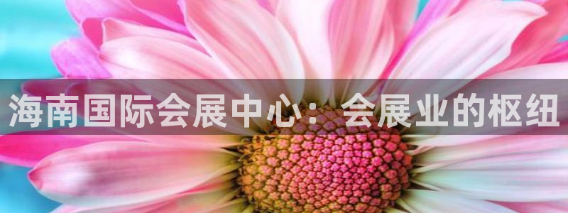 果博代理电话多少：海南国际会展中心：会展