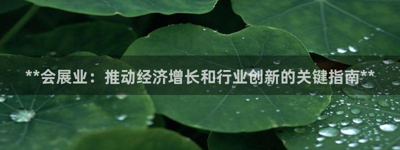 果博注册客服电话号码查询：**会展业：推动经济增长和行业创新的关键指南**