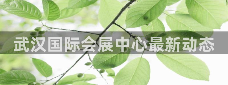 果博官网客服电话号码查询：武汉国际会展中