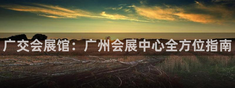 果博平台真实吗安全吗可信吗可靠吗：广交会展馆：广州会展中心全方位指南