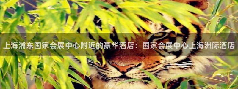 果博官网在银博：上海浦东国家会展中心附近的豪华酒店：国家会展中心上海洲际酒店