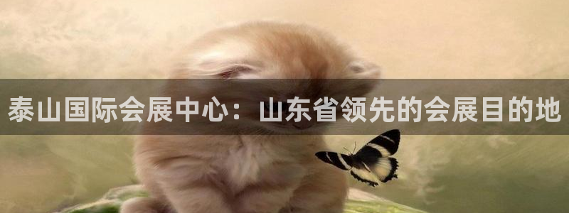 果博公司客服电话号码：泰山国际会展中心：山东省领先的会展目的地