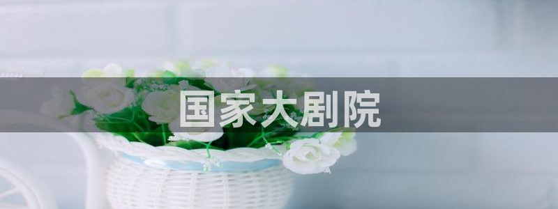 果博手机版下载：国家大剧院