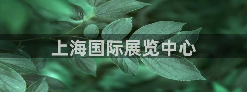 果博手机版下载：上海国际展览中心