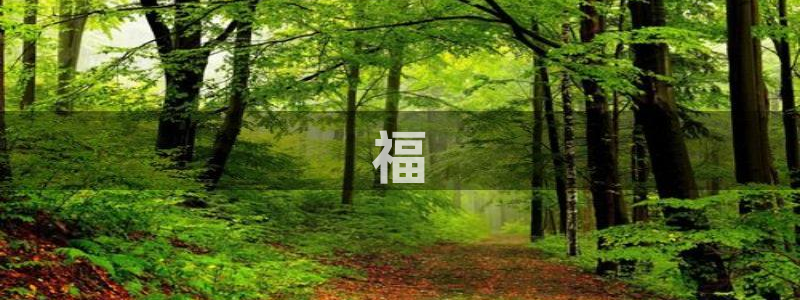 果博官网首页：福