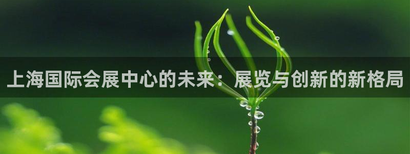 果博代理电话多少：上海国际会展中心的未来：展览与创新的新格局