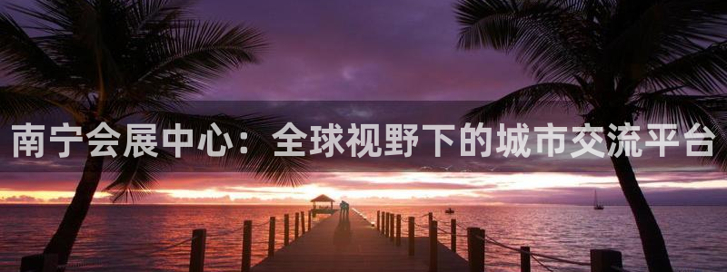 苹果电脑可以下载博易大师吗：南宁会展中心：全球视野下的城市交流平台