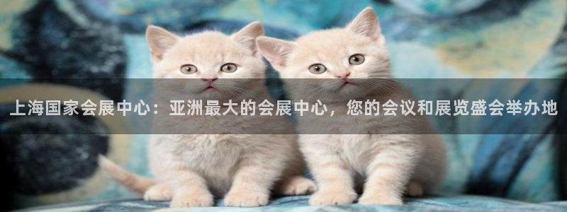 下载果博博东方下载：上海国家会展中心：亚洲最大的会展中心，您的会议和展览盛会举办地