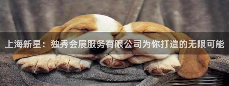 下载果博博东方下载：上海新星：独秀会展服务有限公司为你打造的无限可能
