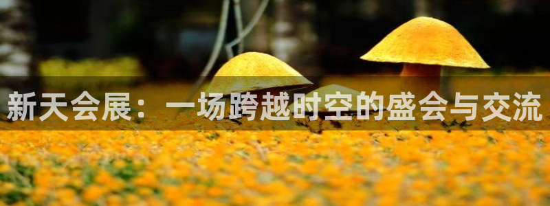 果博注册充值怎么退款：新天会展：一场跨越时空的盛会