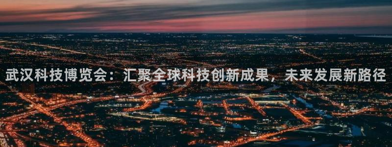 果博注册客服电话号码：武汉科技博览会：汇聚全球科技创新成果，未来发展新路径