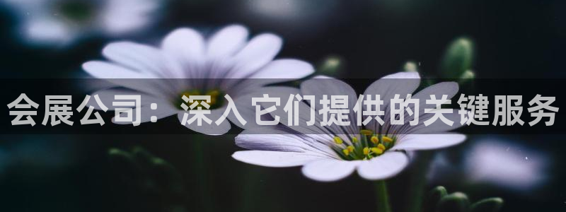 果博平台真实吗安全吗可信吗可靠吗：会展公司：深入它们提供的关键服务