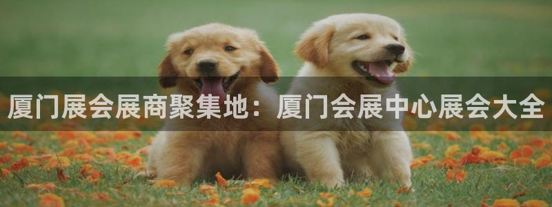 果博手机下载：厦门展会展商聚集地：厦门会