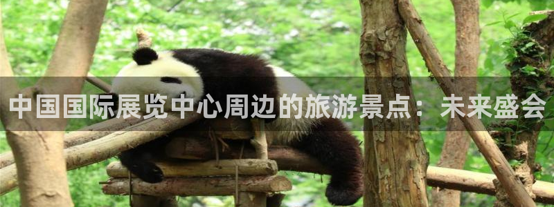果博注册客服电话是多少号：中国国际展览中