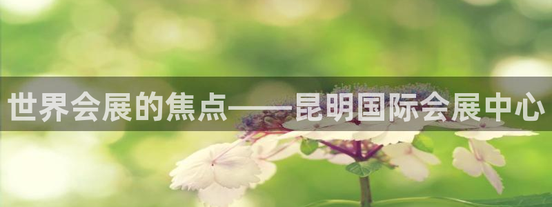 果博平台真实吗安全吗可信吗可靠吗：世界会展的焦点——昆明国际会展中心