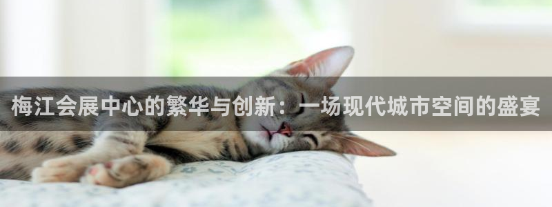 果博注册客服电话号码是多少：梅江会展中心的繁华与创
