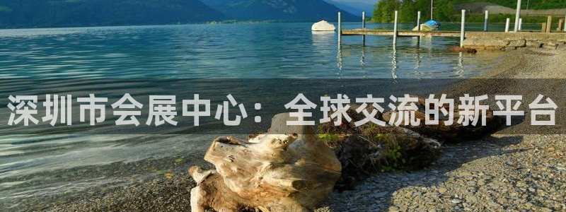 果博平台苹果电脑怎么下载：深圳市会展中心