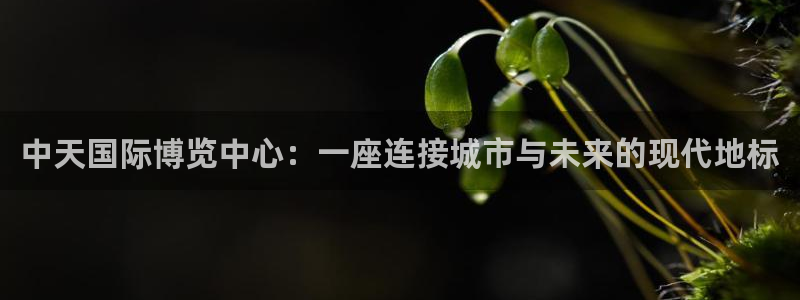 果博官方热线：中天国际博览中心：一座连接城市与未来