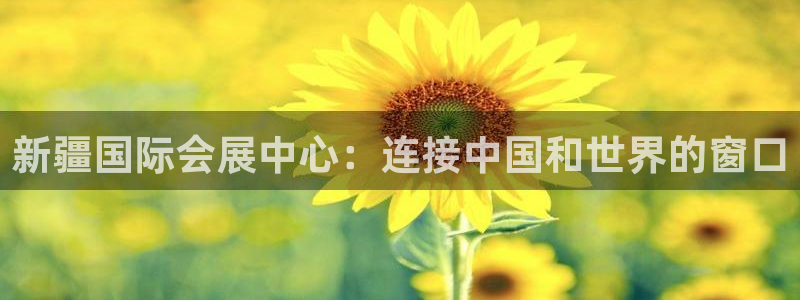 果博旗舰厅：新疆国际会展中心：连接中国和世界的窗口