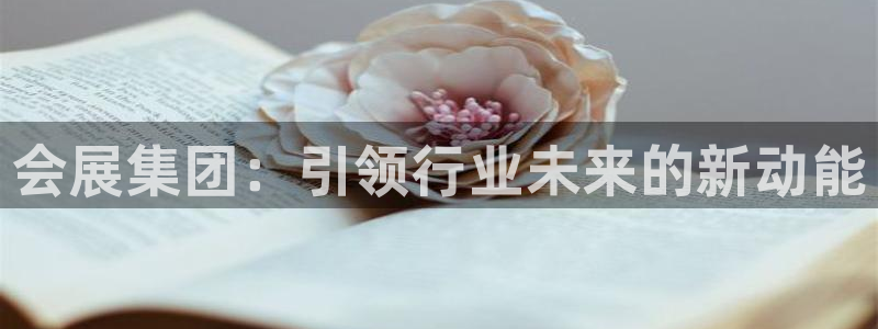 果博有假吗：会展集团：引领行业未来的新动
