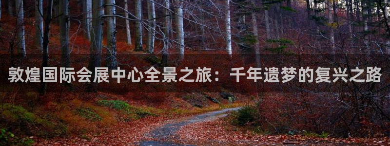 果博公司游戏网址：敦煌国际会展中心全景之