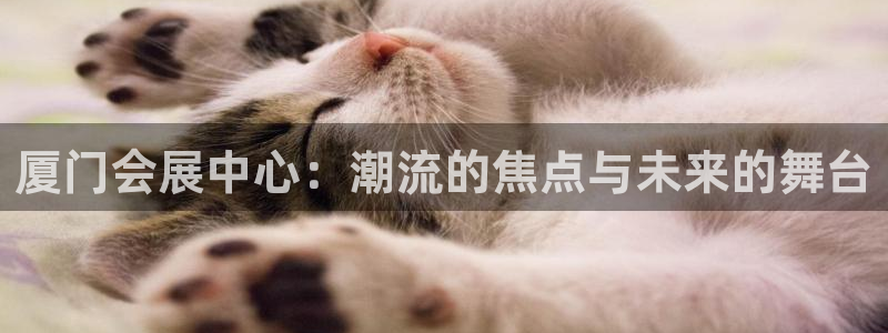 果博注册平台怎么注册不了：厦门会展中心：潮流的焦点与未来的舞台