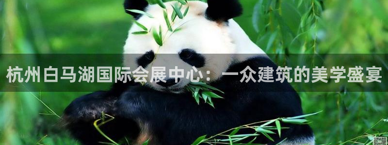 果博公司开户热线：杭州白马湖国际会展中心