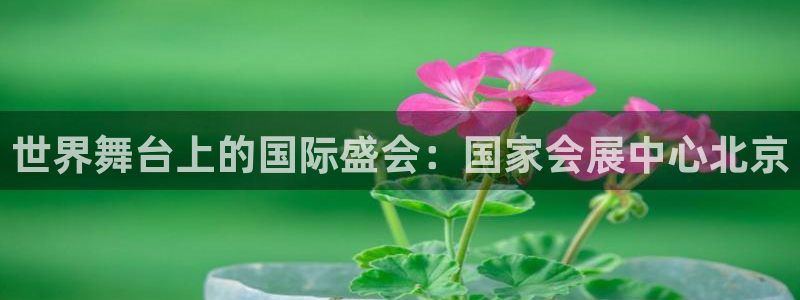 果博平台开户电话号码：世界舞台上的国际盛