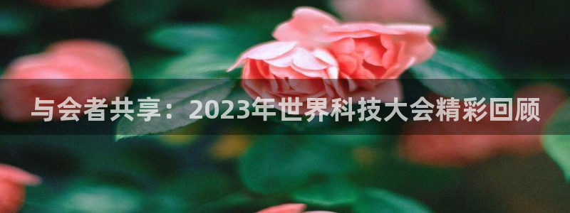果博公司客服微信怎么加