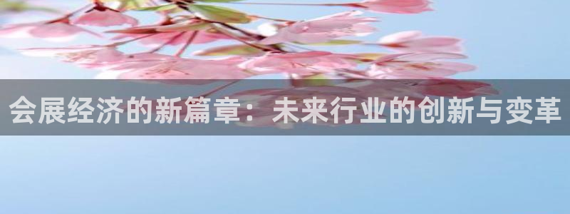 果博怎么注册账号和密码：会展经济的新篇章