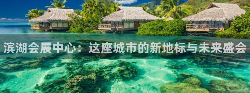 果博公司电话：滨湖会展中心：这座城市的新