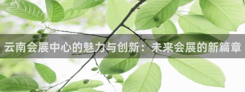 电脑怎么下载果考网