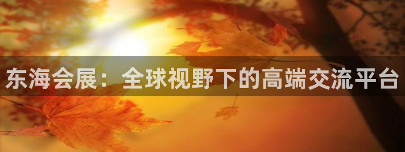 果博怎么注册账号：东海会展：全球视野下的高端交流平
