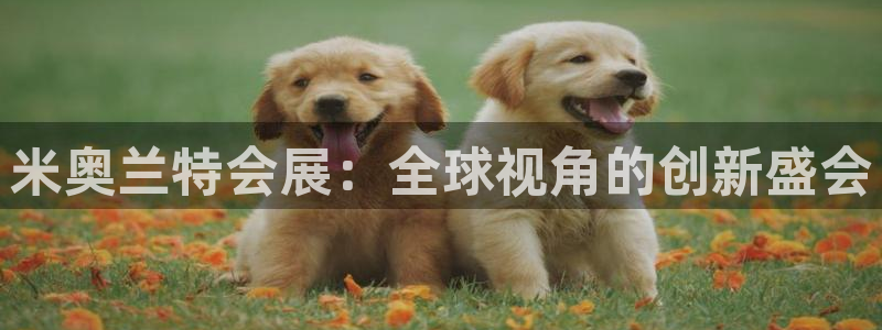 果博集团