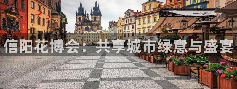 果博公司怎么开户：信阳花博会：共享城市绿意与盛宴