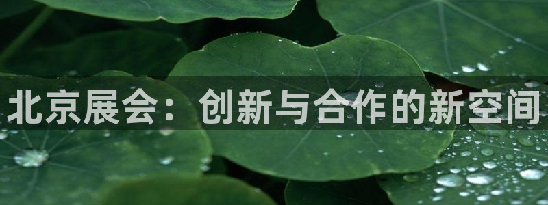 果博官网客服电话号码