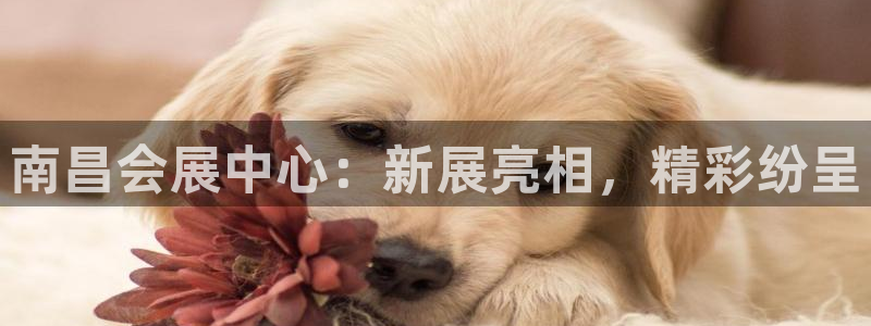 果博服务电话：南昌会展中心：新展亮相，精