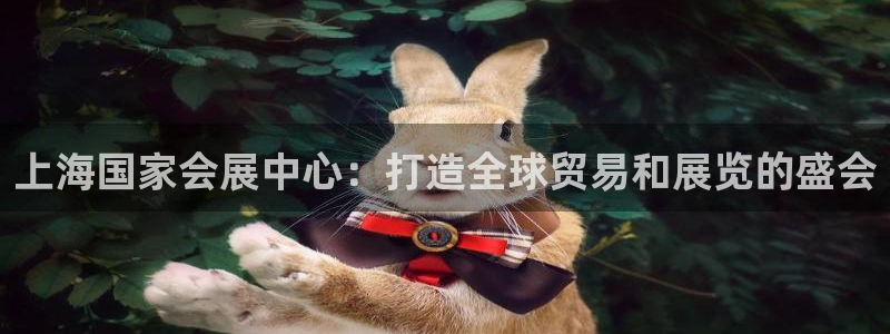 果博手机下载：上海国家会展中心：打造全球贸易和展览的盛会