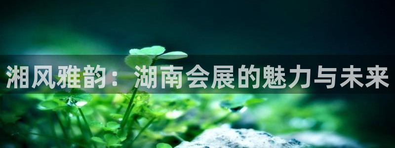 苹果电脑怎么下载伯索：湘风雅韵：湖南会展的魅力与未来