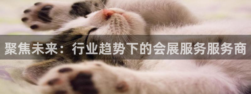 果博官方网：聚焦未来：行业趋势下的会展服