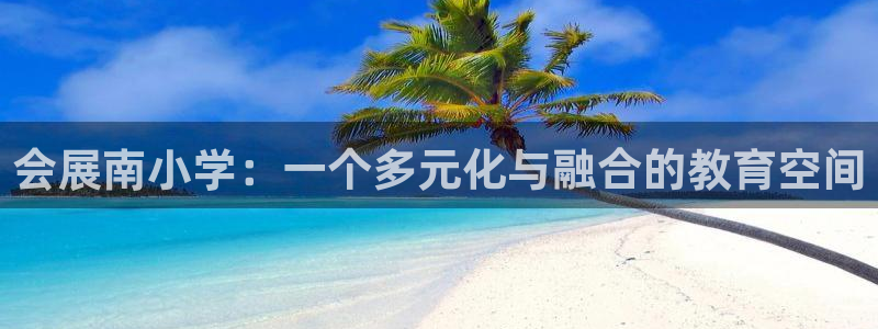 果博真人：会展南小学：一个多元化与融合的