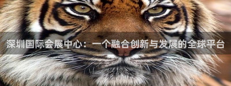 果博公司开户注册