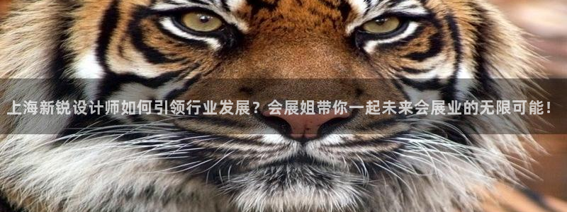 果博平台开户电话是多少：上海新锐设计师如