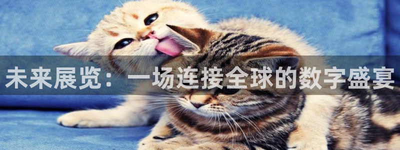 果博官方：未来展览：一场连接全球的数字盛